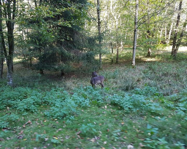 Wild- Und Freizeitpark