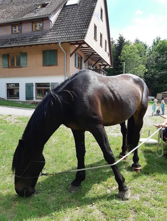 Naturfreundehaus Sommerecke